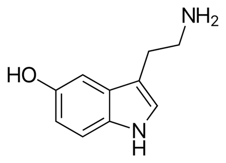 Skeletal structure of the serotonin molecule