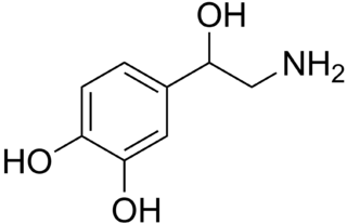 Skeletal structure of the norepinephrine molecule