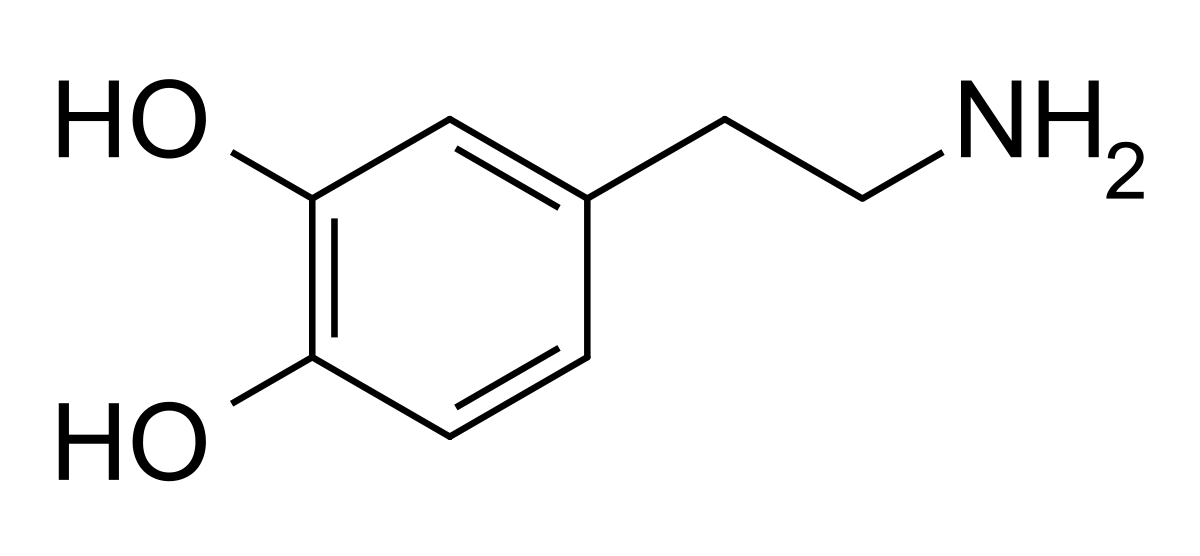 Skeletal structure of the dopamine molecule