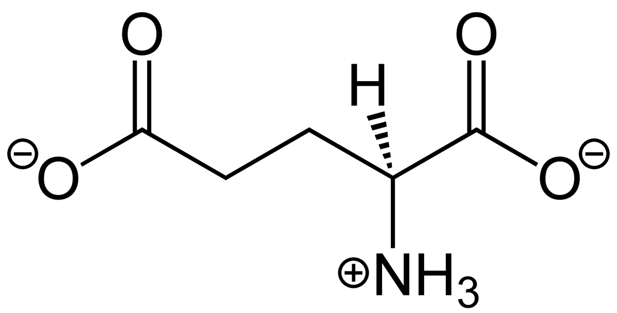Skeletal structure of the glutamate molecule