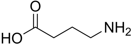 Skeletal structure of the GABA molecule
